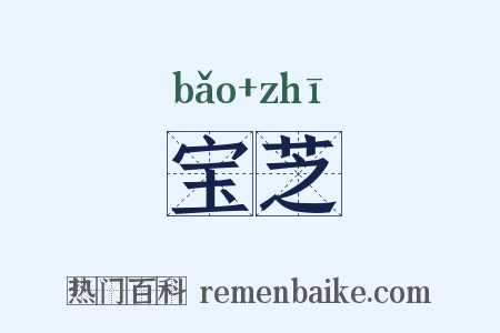 宝芝是什么意思的图片